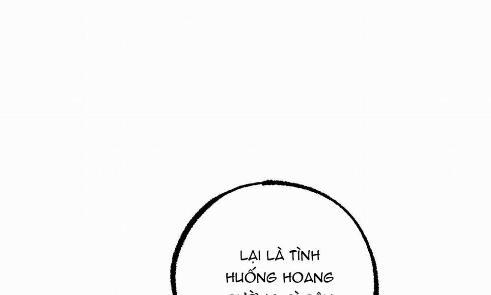 Những Chú Thỏ Của Hapypy 30 trang 225