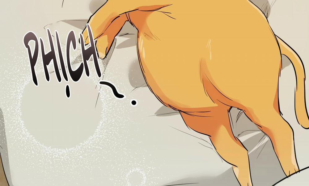 Những Chú Thỏ Của Hapypy 30 trang 241