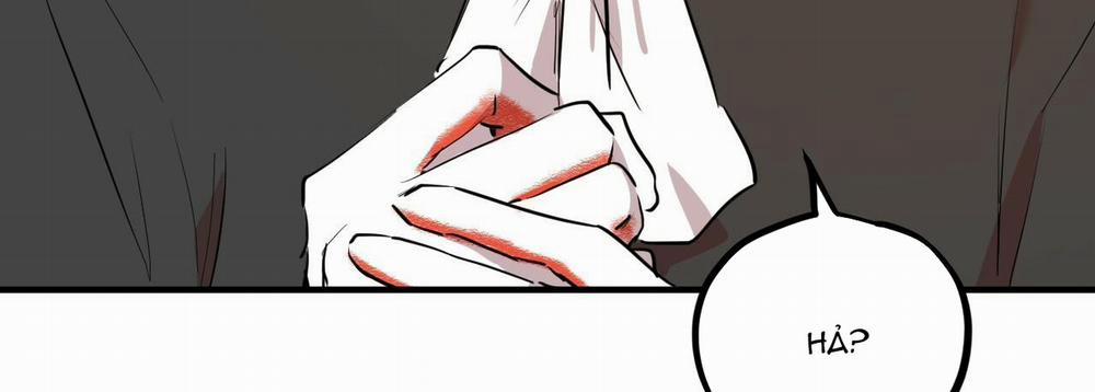 Những Chú Thỏ Của Hapypy 30 trang 261