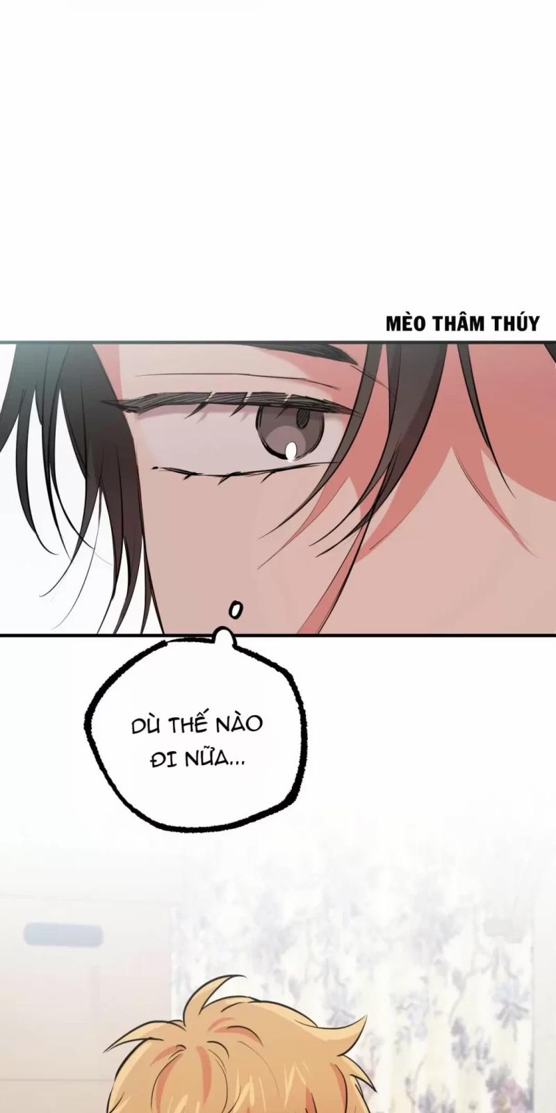 Những Chú Thỏ Của Hapypy 31 trang 15