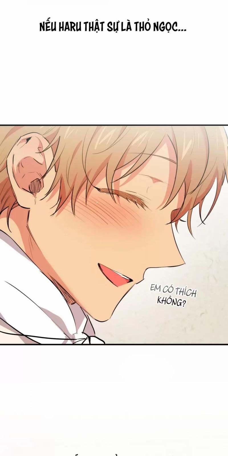 Những Chú Thỏ Của Hapypy 31 trang 19