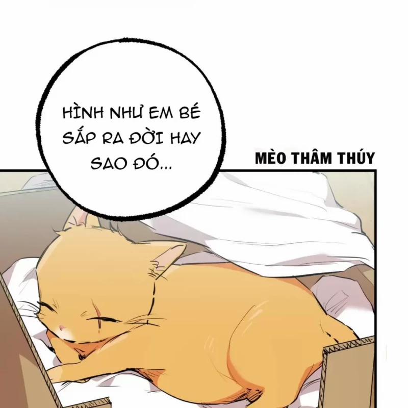 Những Chú Thỏ Của Hapypy 31 trang 23