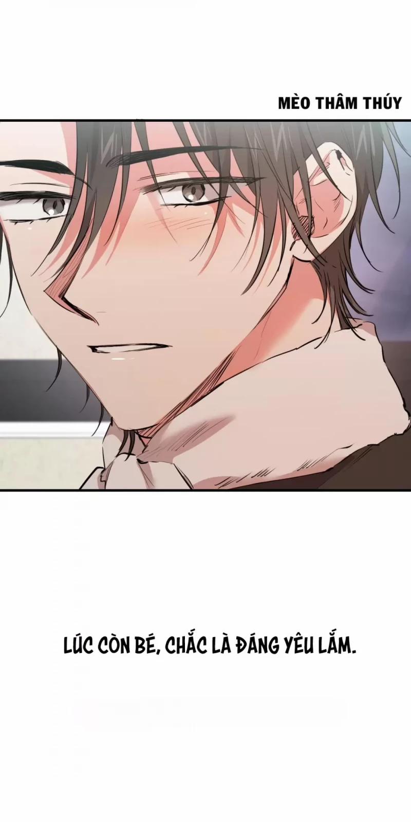 Những Chú Thỏ Của Hapypy 31 trang 28