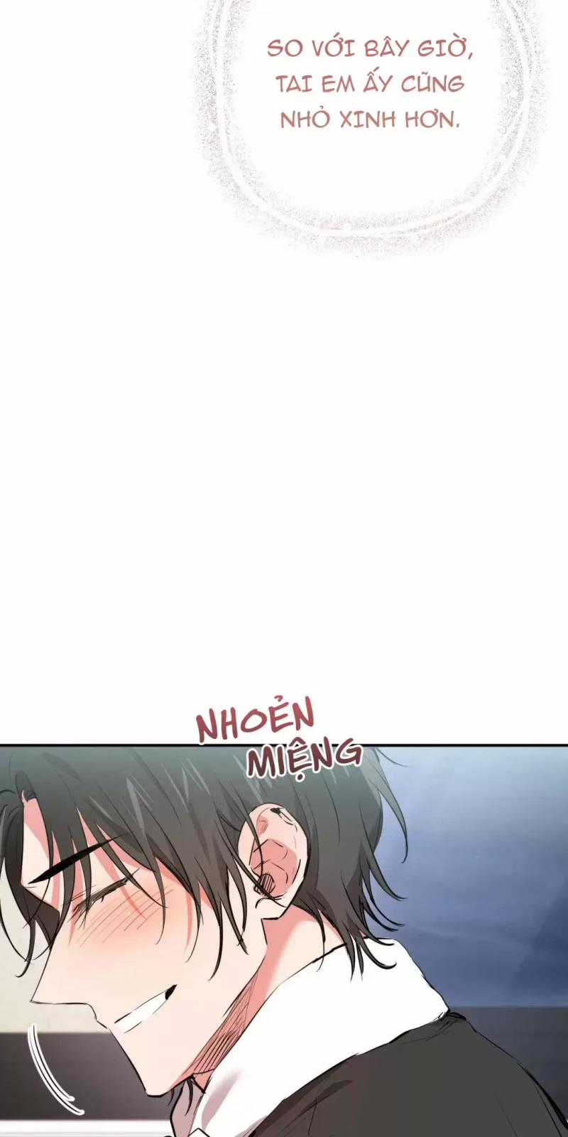 Những Chú Thỏ Của Hapypy 31 trang 31