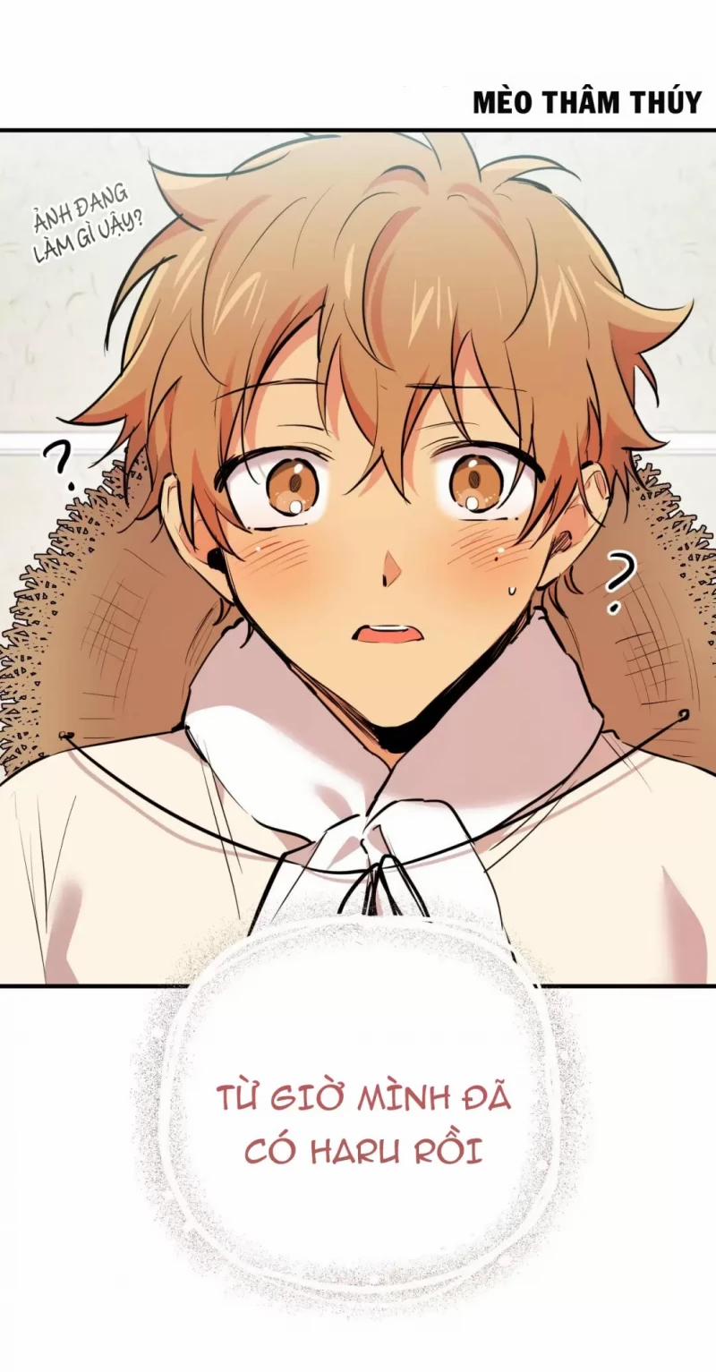 Những Chú Thỏ Của Hapypy 31 trang 41