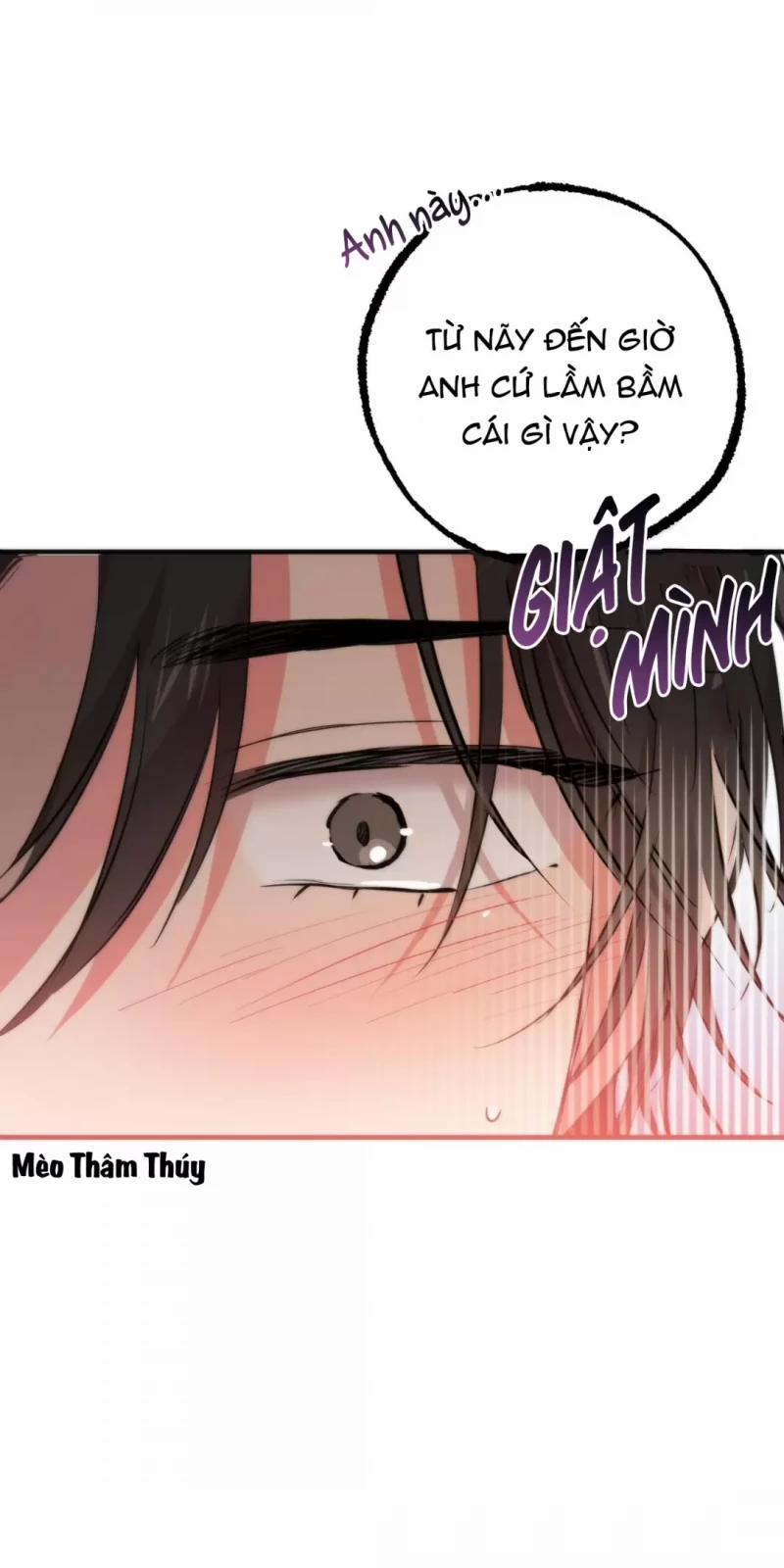 Những Chú Thỏ Của Hapypy 31 trang 45