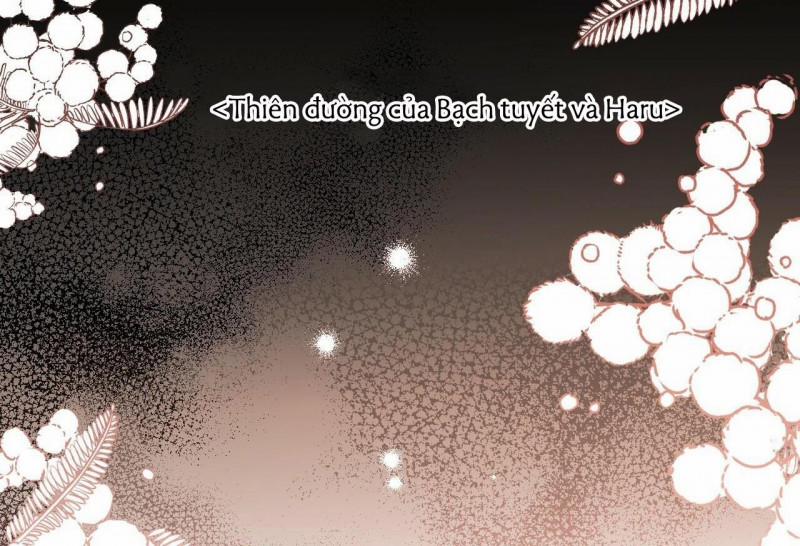 Những Chú Thỏ Của Hapypy 32.5 trang 55