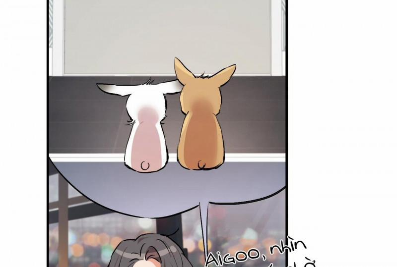 Những Chú Thỏ Của Hapypy 32.5 trang 7