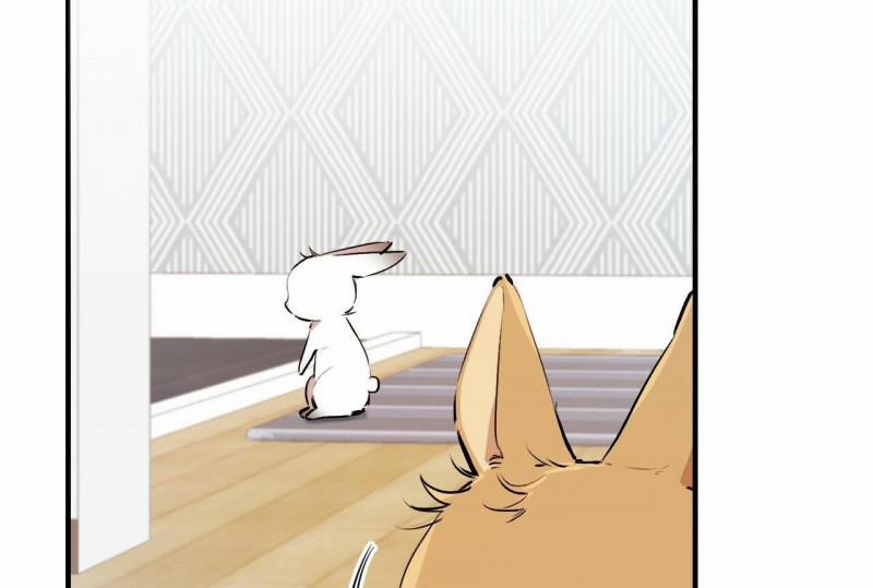 Những Chú Thỏ Của Hapypy 32 trang 119