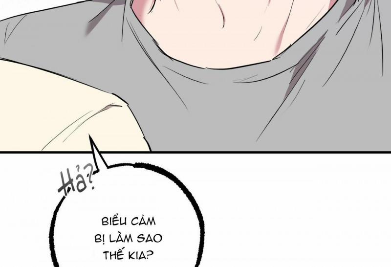 Những Chú Thỏ Của Hapypy 32 trang 16