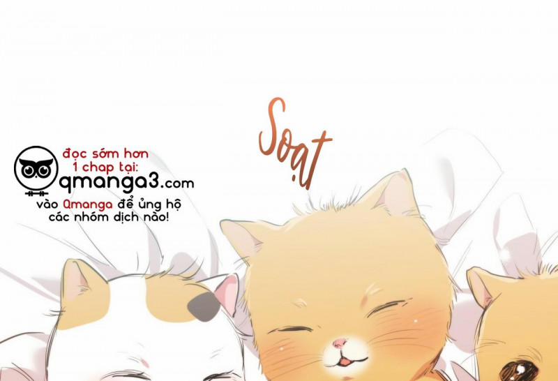 Những Chú Thỏ Của Hapypy 32 trang 2