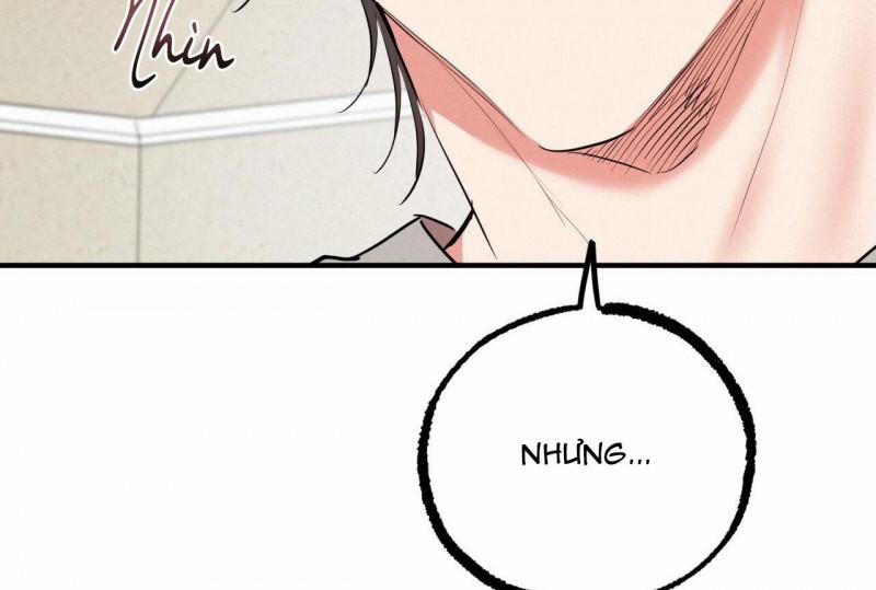 Những Chú Thỏ Của Hapypy 32 trang 27