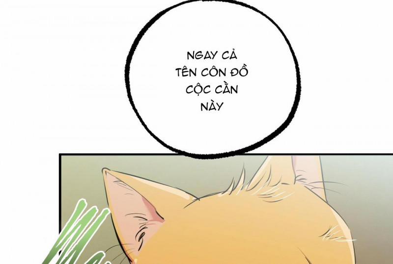 Những Chú Thỏ Của Hapypy 32 trang 29