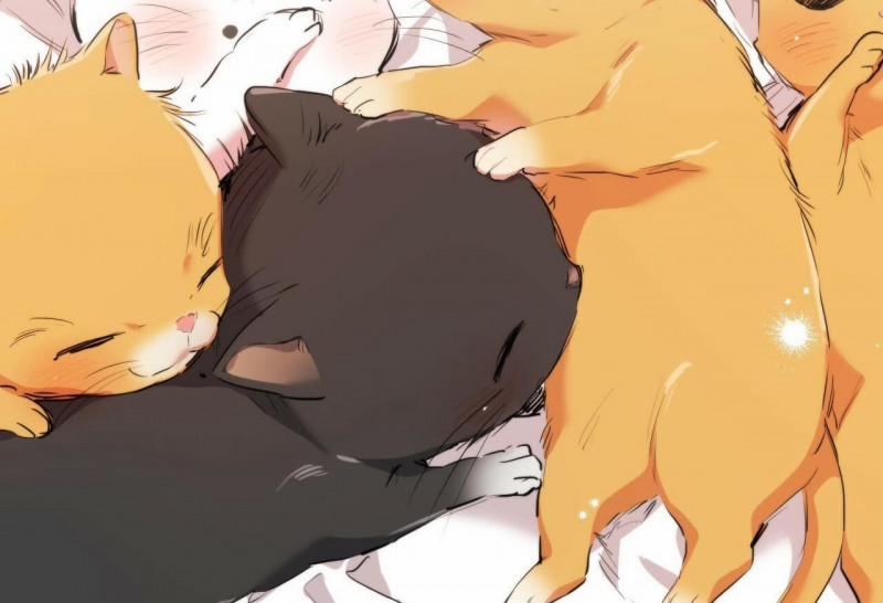 Những Chú Thỏ Của Hapypy 32 trang 3