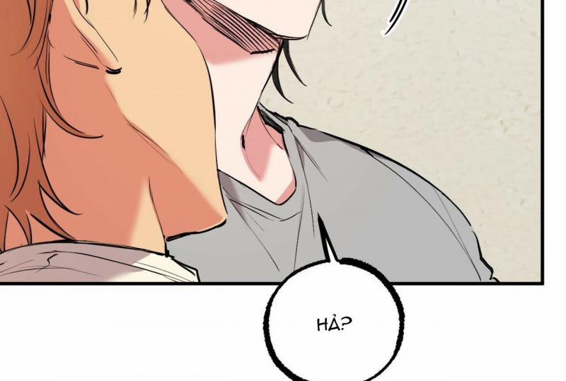 Những Chú Thỏ Của Hapypy 32 trang 41