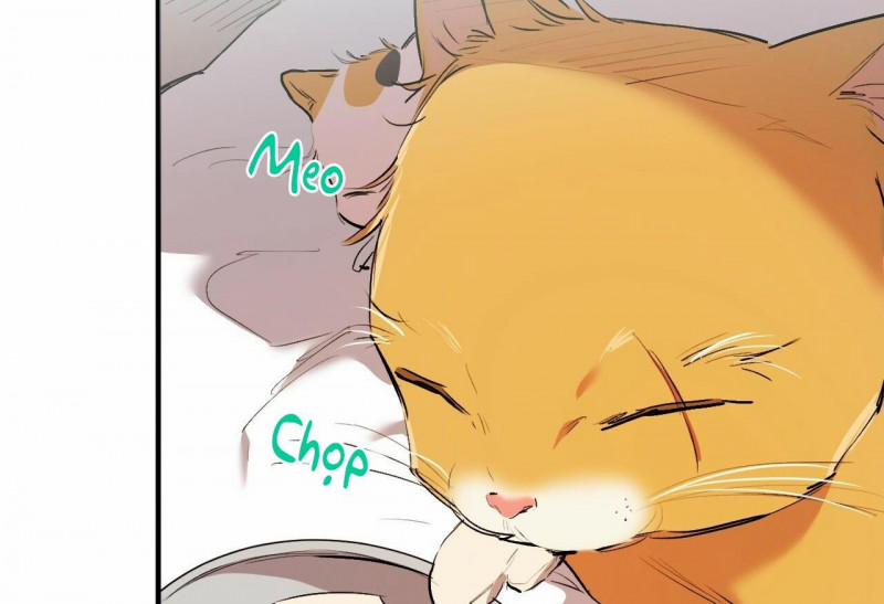 Những Chú Thỏ Của Hapypy 32 trang 70