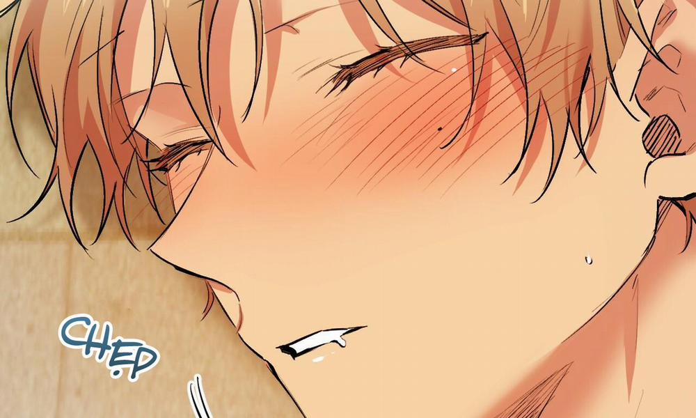 Những Chú Thỏ Của Hapypy 33 trang 10