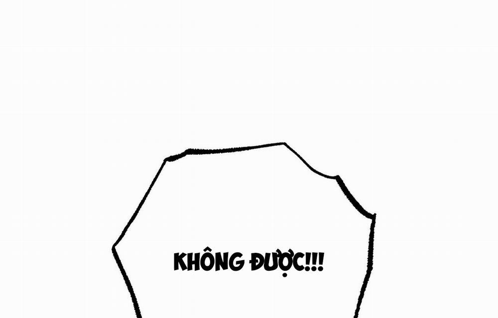 Những Chú Thỏ Của Hapypy 33 trang 121