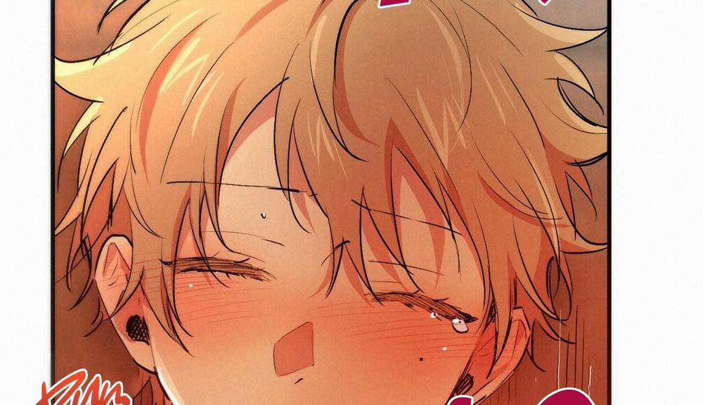 Những Chú Thỏ Của Hapypy 33 trang 131