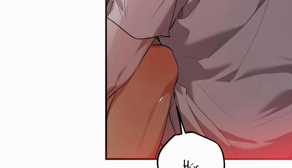 Những Chú Thỏ Của Hapypy 33 trang 138