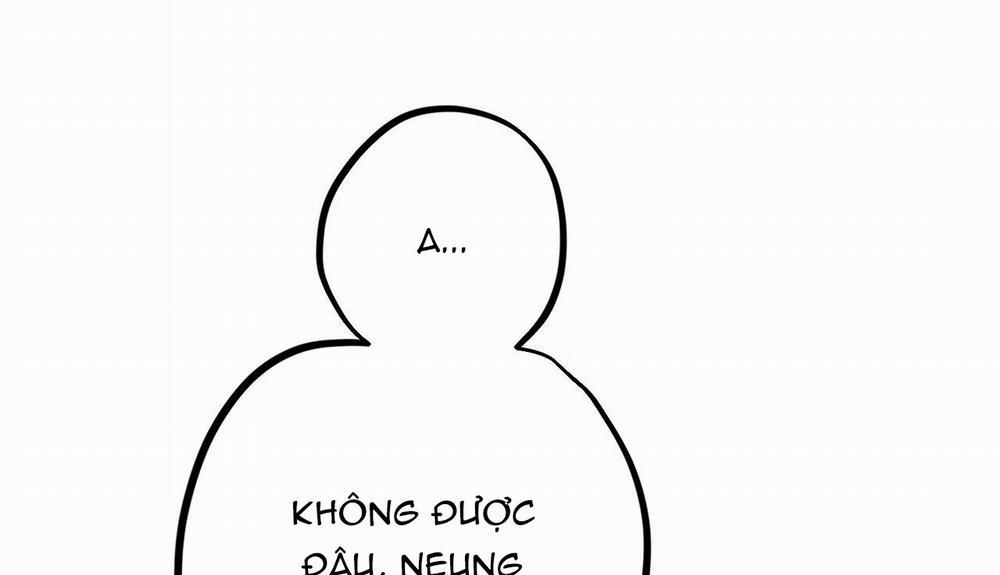 Những Chú Thỏ Của Hapypy 33 trang 148