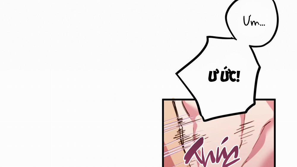 Những Chú Thỏ Của Hapypy 33 trang 167