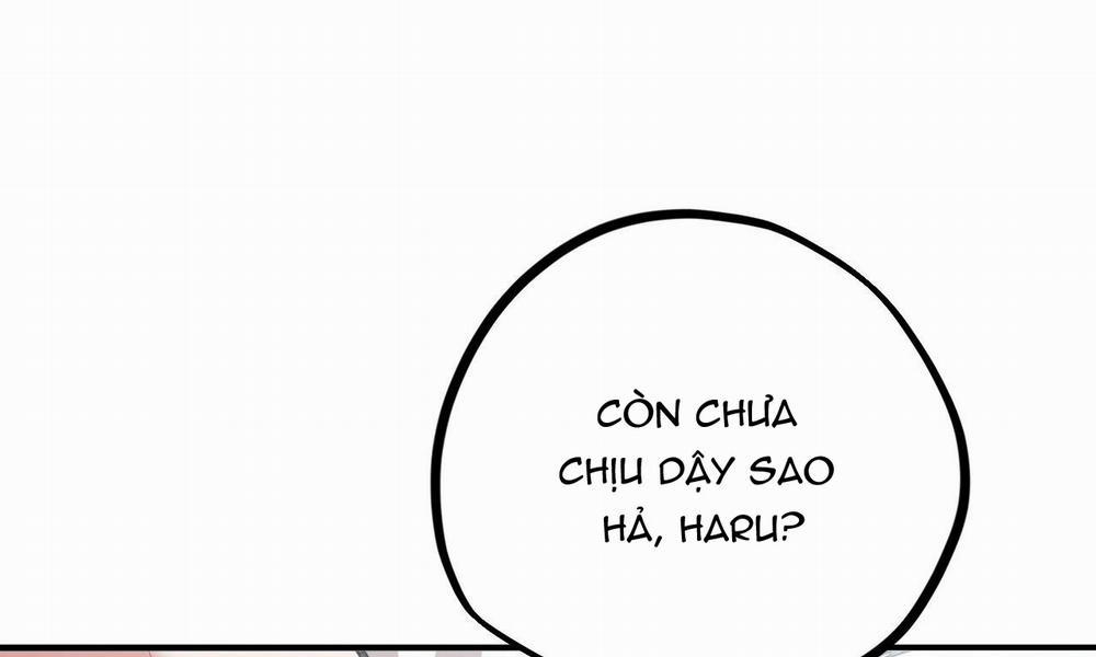 Những Chú Thỏ Của Hapypy 33 trang 19