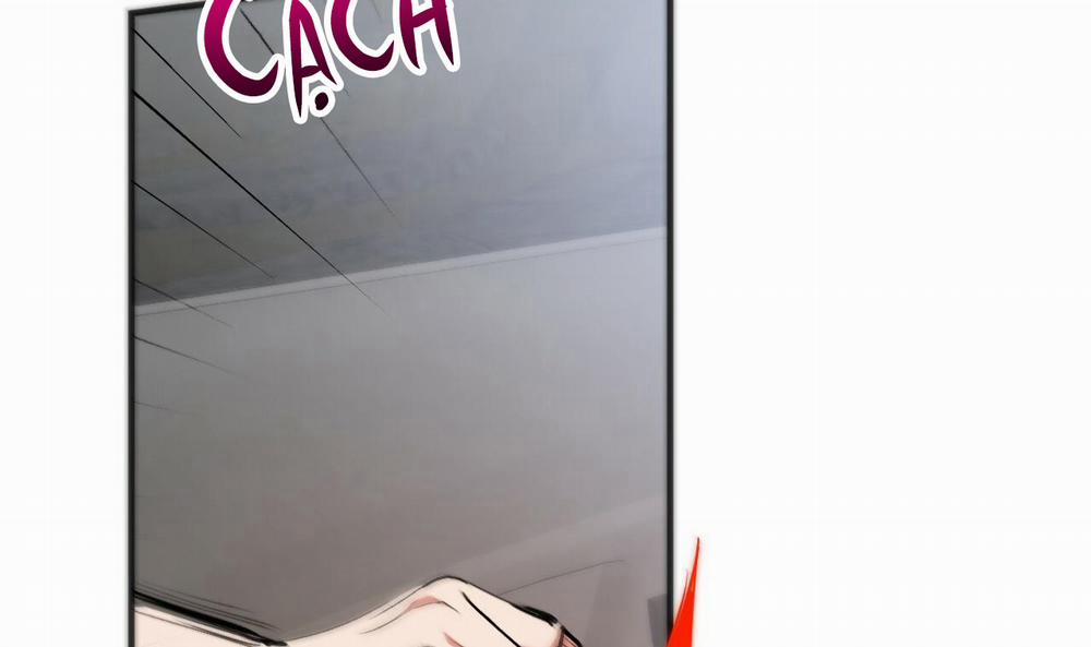 Những Chú Thỏ Của Hapypy 33 trang 219