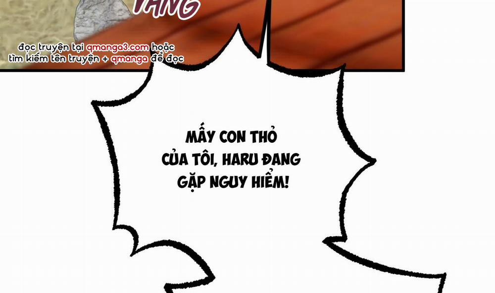 Những Chú Thỏ Của Hapypy 33 trang 236