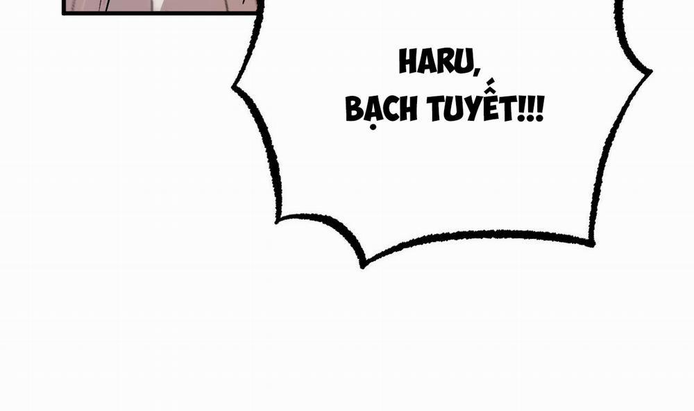 Những Chú Thỏ Của Hapypy 33 trang 249