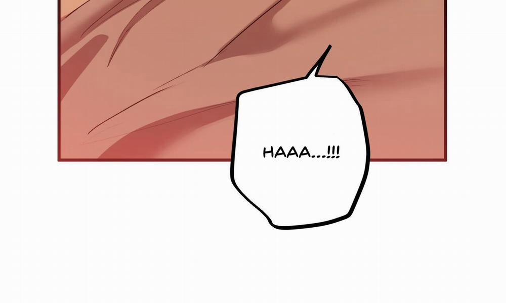 Những Chú Thỏ Của Hapypy 33 trang 25