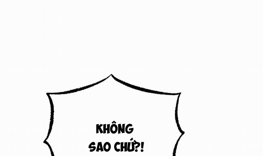 Những Chú Thỏ Của Hapypy 33 trang 250