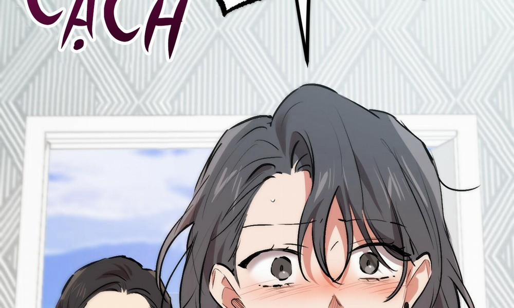 Những Chú Thỏ Của Hapypy 33 trang 252