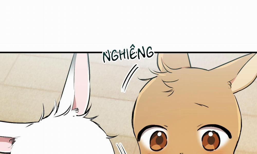 Những Chú Thỏ Của Hapypy 33 trang 255