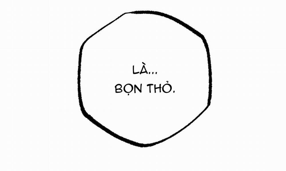 Những Chú Thỏ Của Hapypy 33 trang 258