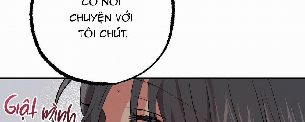 Những Chú Thỏ Của Hapypy 33 trang 285