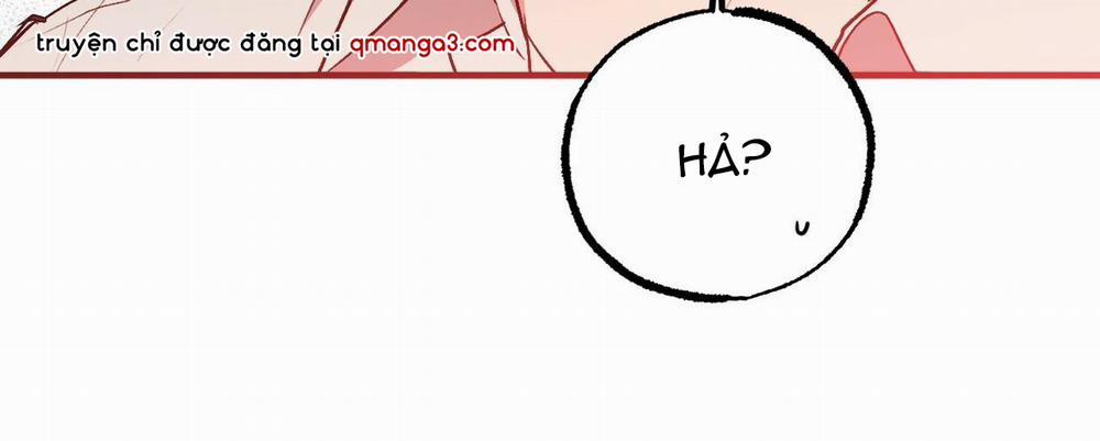 Những Chú Thỏ Của Hapypy 33 trang 288