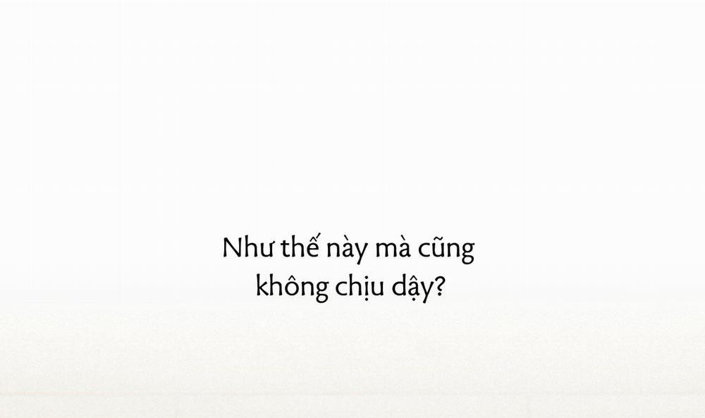 Những Chú Thỏ Của Hapypy 33 trang 32