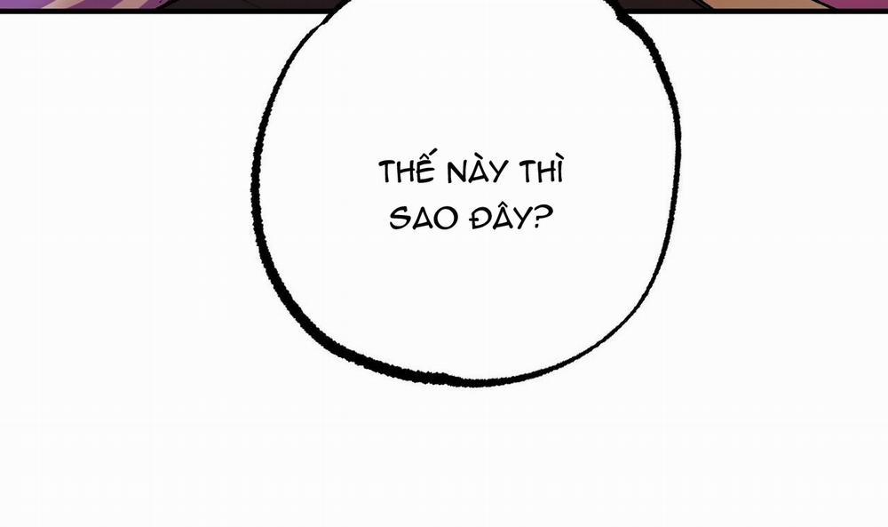 Những Chú Thỏ Của Hapypy 33 trang 48