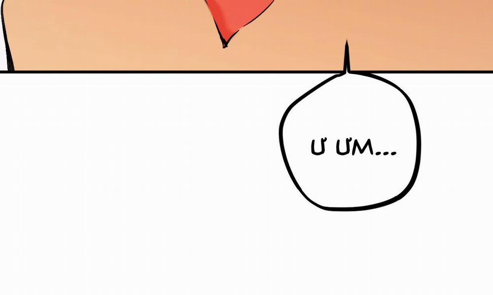 Những Chú Thỏ Của Hapypy 33 trang 5