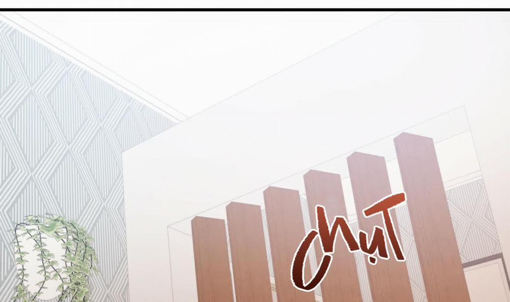 Những Chú Thỏ Của Hapypy 33 trang 54