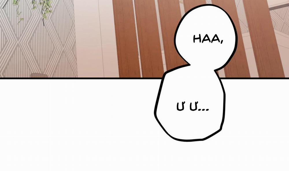 Những Chú Thỏ Của Hapypy 33 trang 55