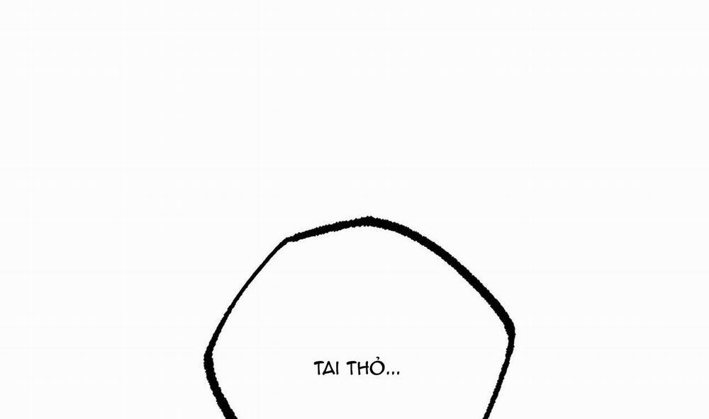 Những Chú Thỏ Của Hapypy 34 trang 116