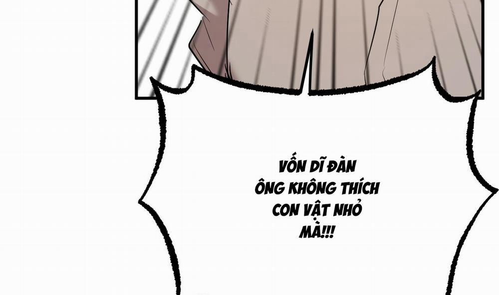 Những Chú Thỏ Của Hapypy 34 trang 129