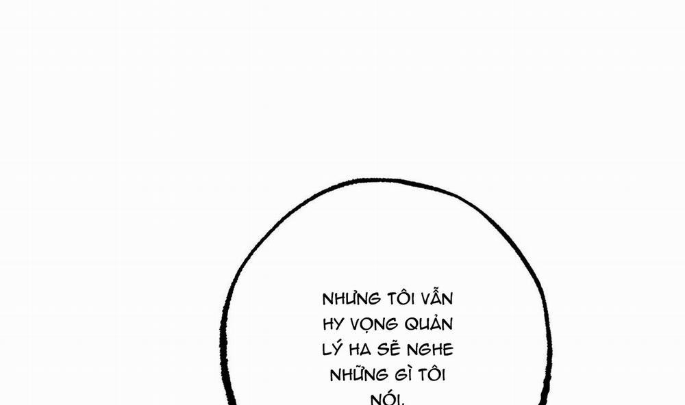 Những Chú Thỏ Của Hapypy 34 trang 137