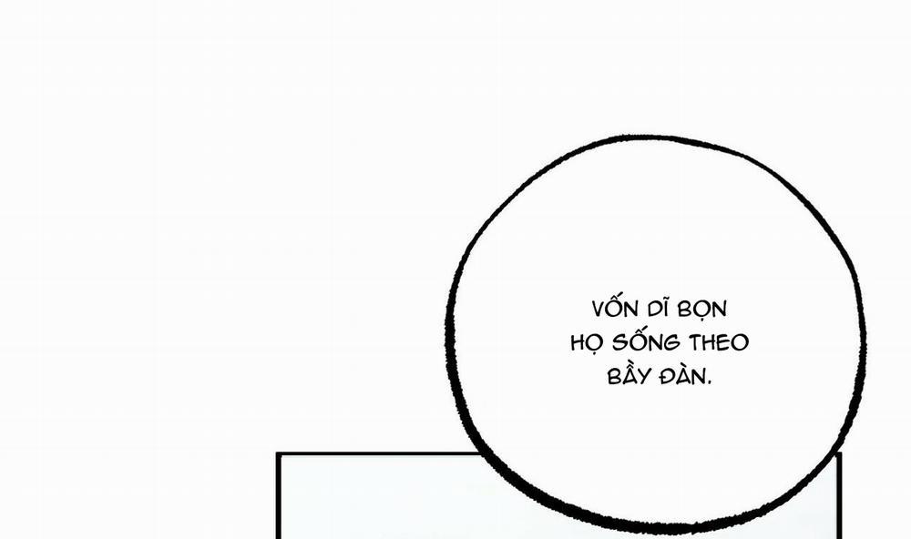 Những Chú Thỏ Của Hapypy 34 trang 145