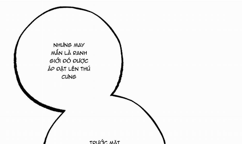 Những Chú Thỏ Của Hapypy 34 trang 157