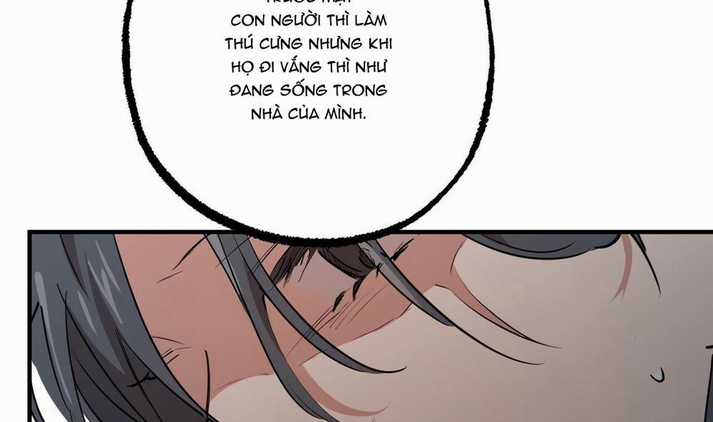 Những Chú Thỏ Của Hapypy 34 trang 158