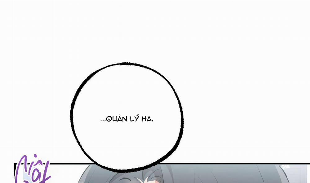 Những Chú Thỏ Của Hapypy 34 trang 169