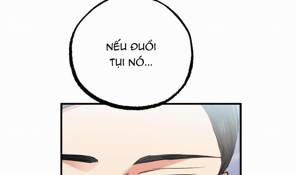 Những Chú Thỏ Của Hapypy 34 trang 208